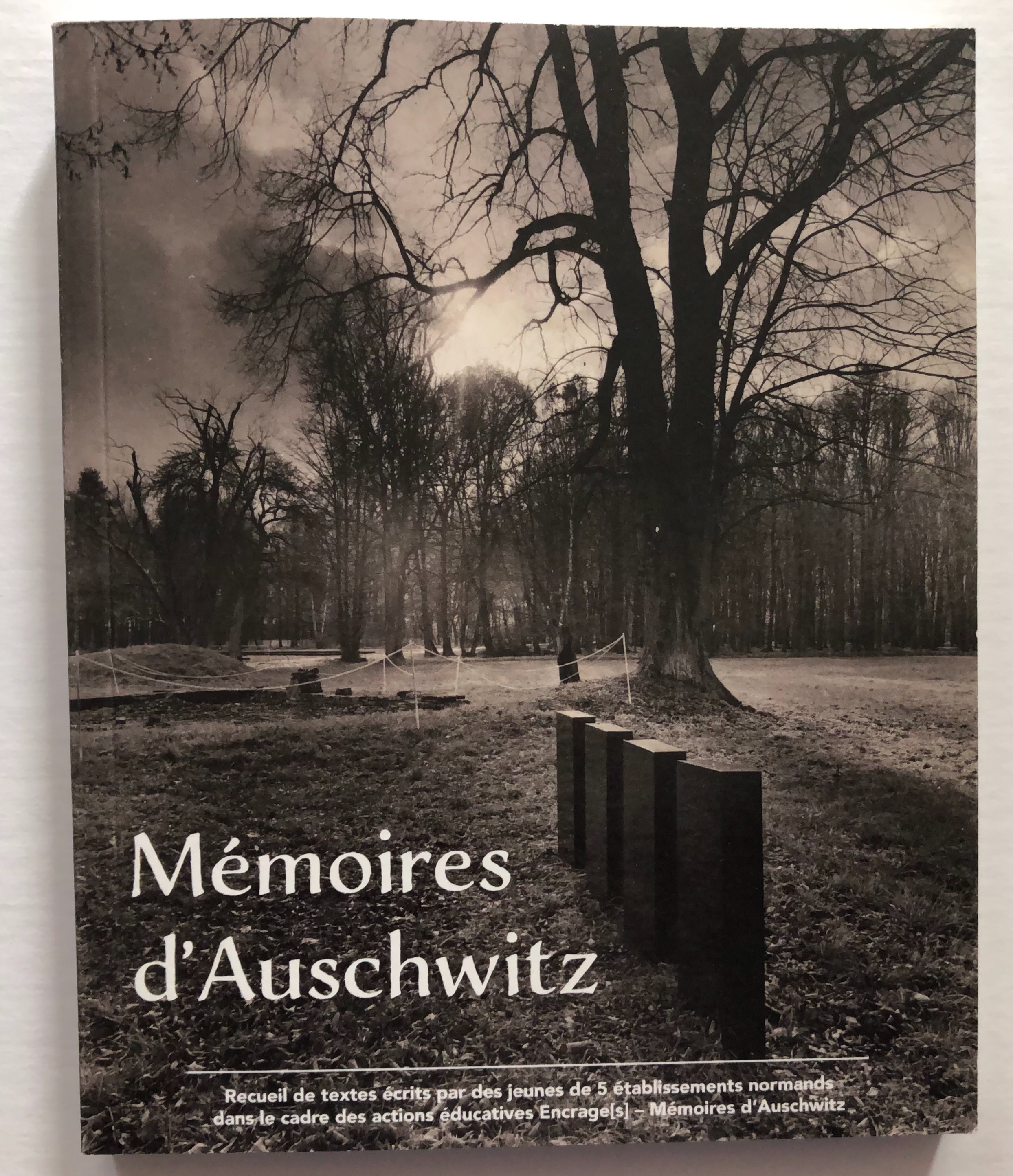 Couverture — Mémoires d'Auchwitz