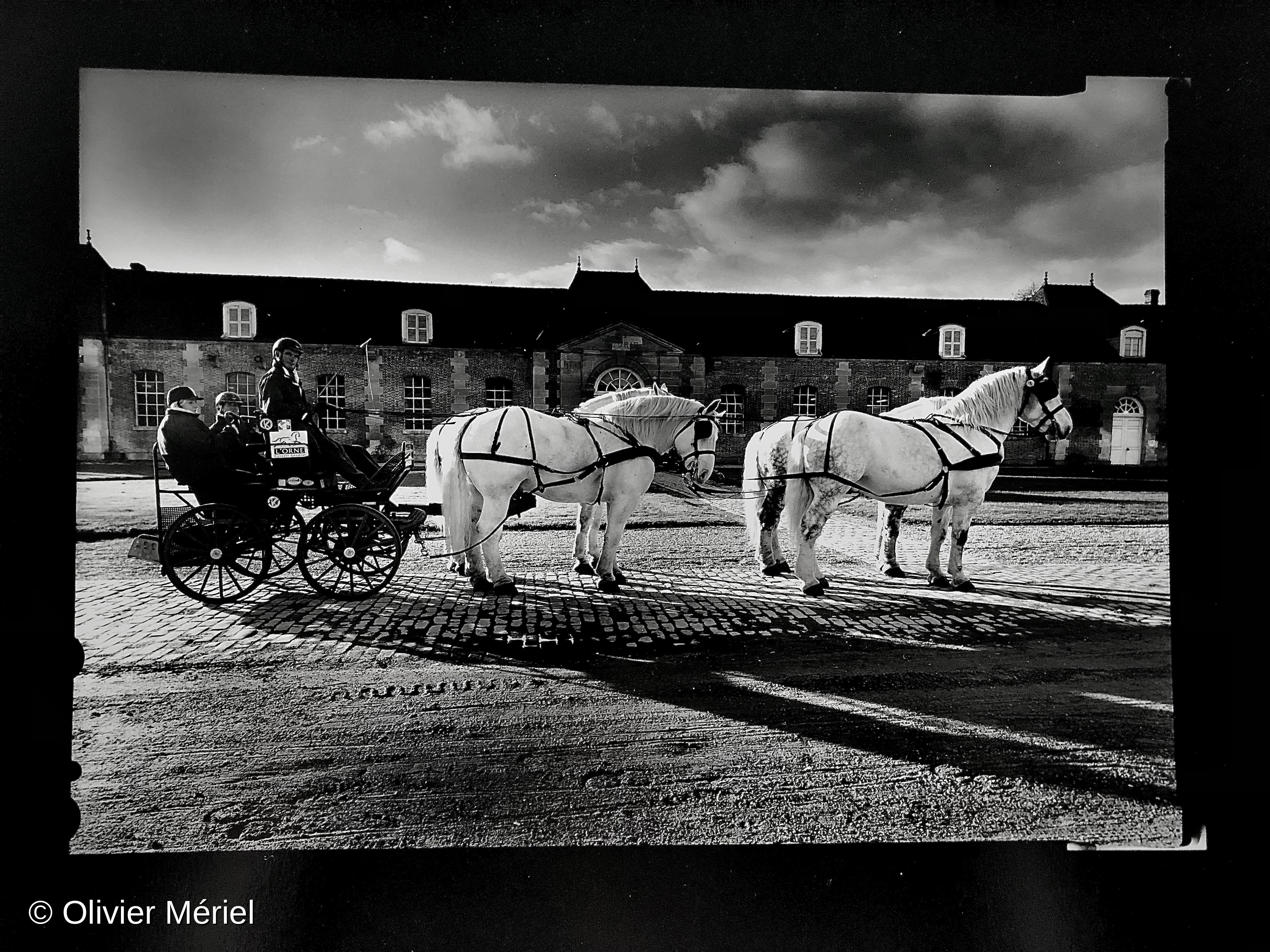 Le Haras du Pin — photo 3