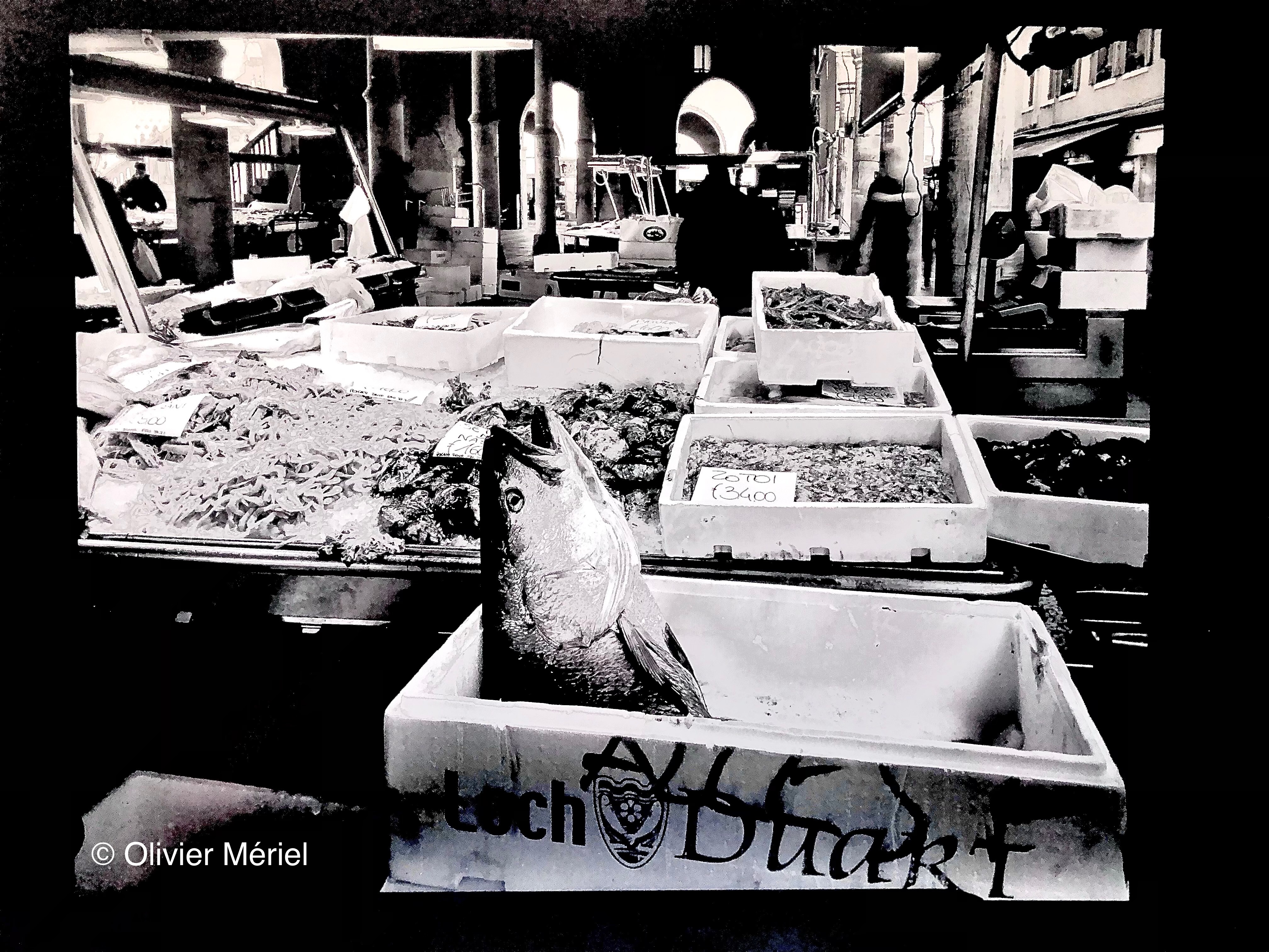 Venise — photo 2
